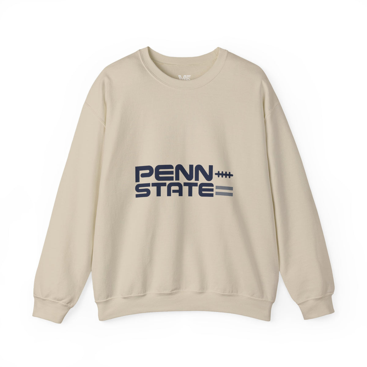 Lions State Aesthetic Sweatshirt