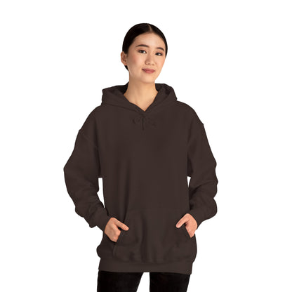Tennessee Football Stadium Classic Hoodie