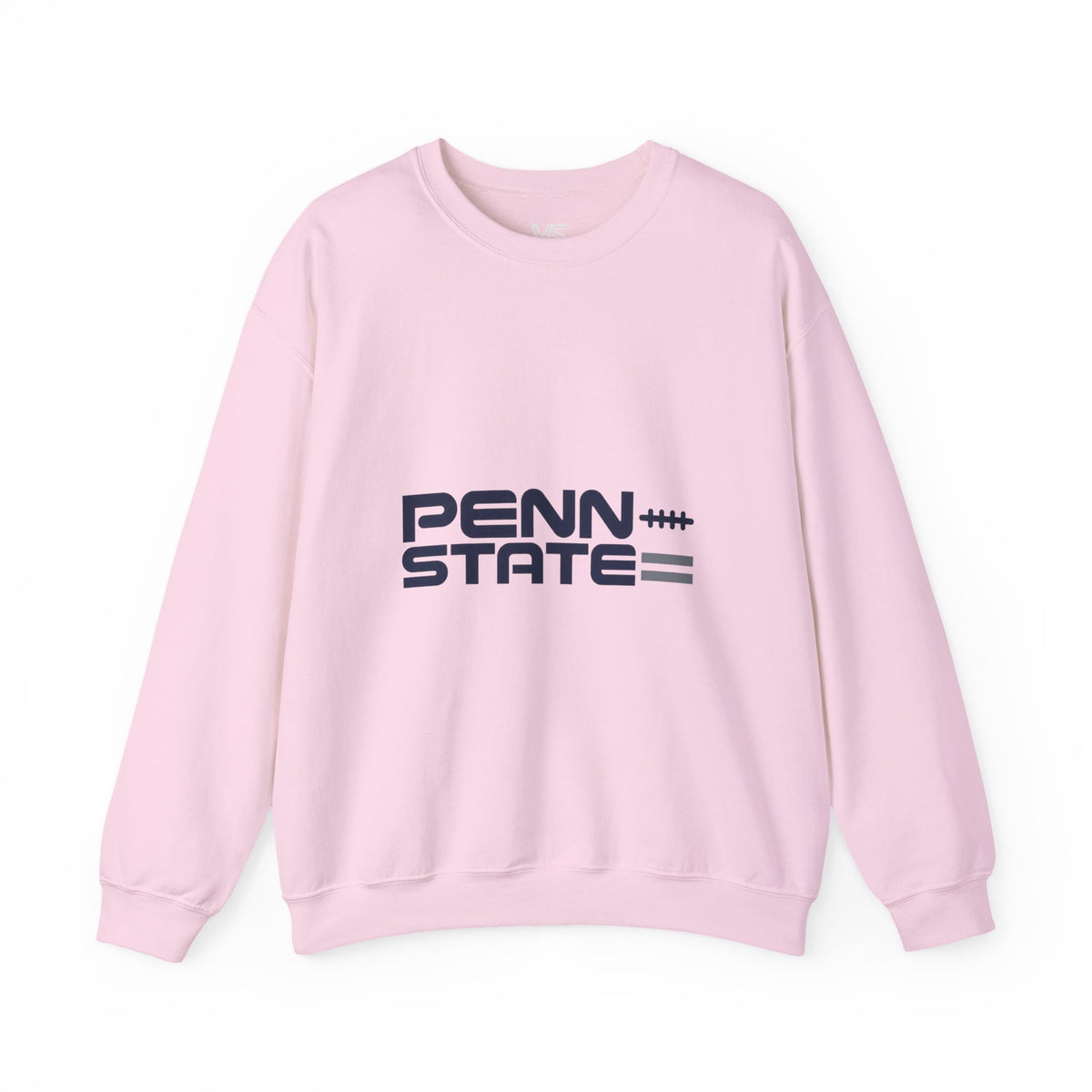 Lions State Aesthetic Sweatshirt