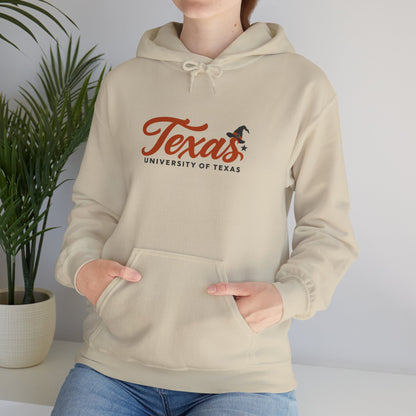 Texas Retro Graphic Hoodie