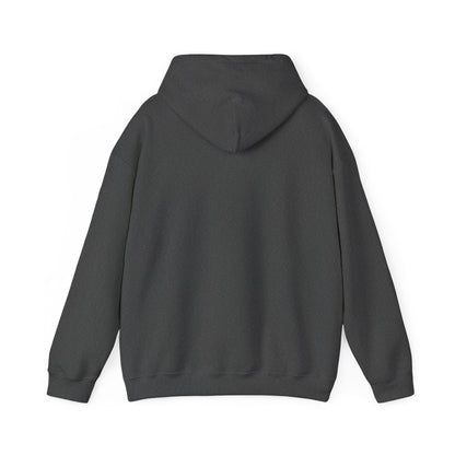 Tennessee Volunteers Vintage  Hoodie
