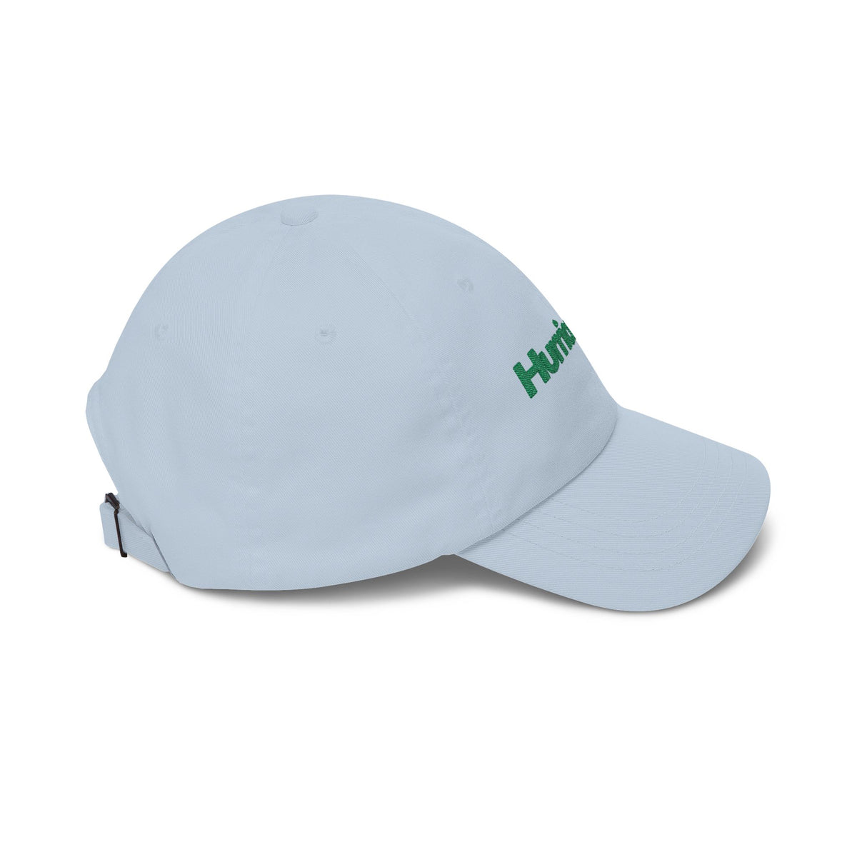 Hurricanes Embroidered Dad Cap