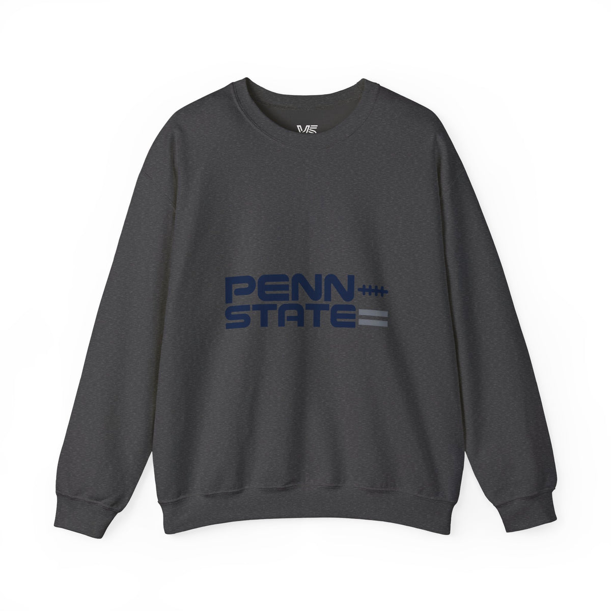 Lions State Aesthetic Sweatshirt