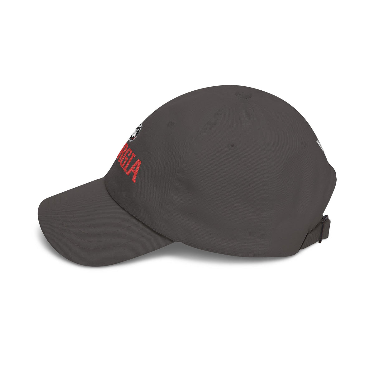 Georgia Baseball Hat